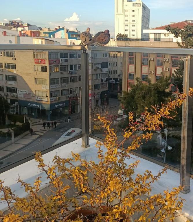 Old Town Grand Apart Hotel アンタルヤ エクステリア 写真